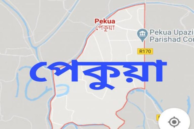 পেকুয়ায় দুইটি অস্ত্র উদ্ধার
