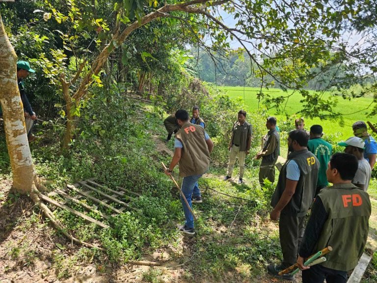 মিরসরাইয়ে চেয়ারম্যানের দখলে থাকা সরকারি রিজার্ভ বনভূমি উদ্ধার
