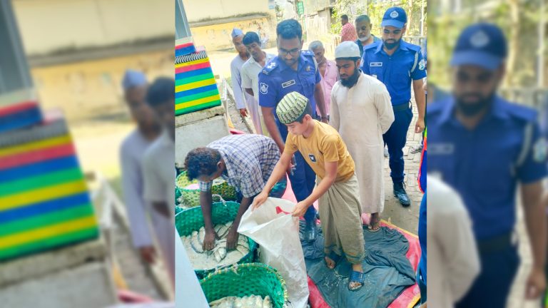 নৌ পুলিশের অভিযান, বিপুল সংখ্যক মাছ জব্দ