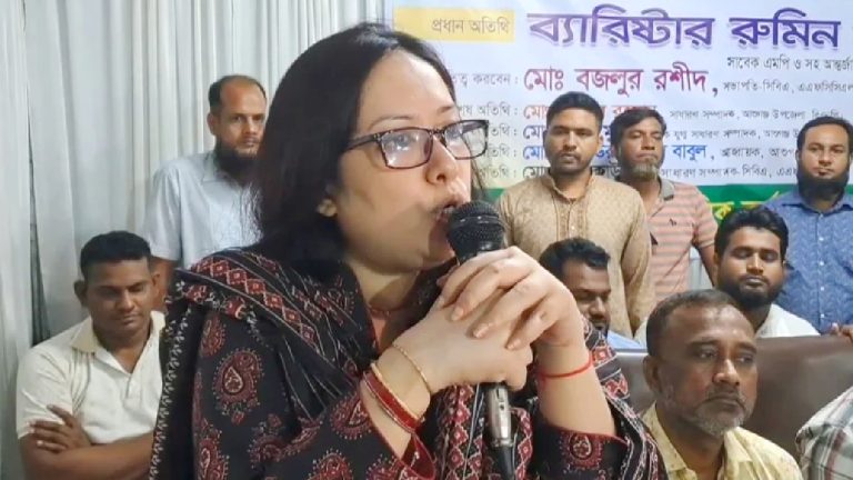 সরকার নিজেকে ব্যর্থ করলে বিএনপির কিছু করার নেই: রুমিন