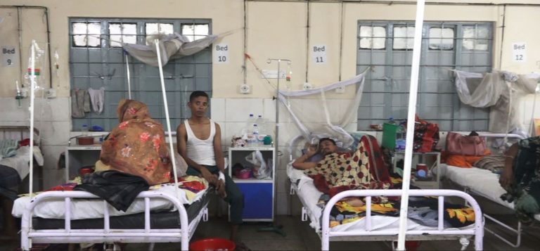 সারাদেশে ডেঙ্গুতে আরও ৩ মৃত্যু, শনাক্ত ১৮৬