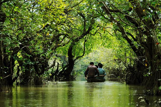 টেকনাফে পাহাড়ি অস্ত্রধারীদের হাতে ১৯ জন বনকর্মী অপহৃত