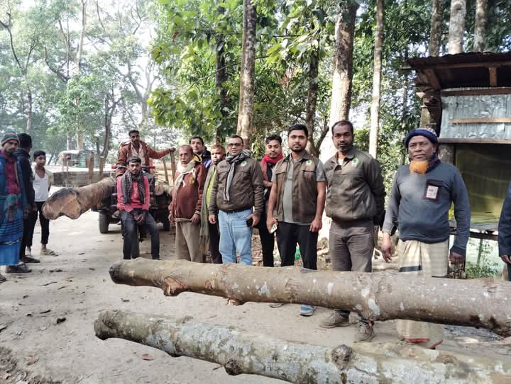 পেকুয়ায় ৬২ ঘনফুট গর্জন গাছ ও দুইটি ট্রলি জব্দ