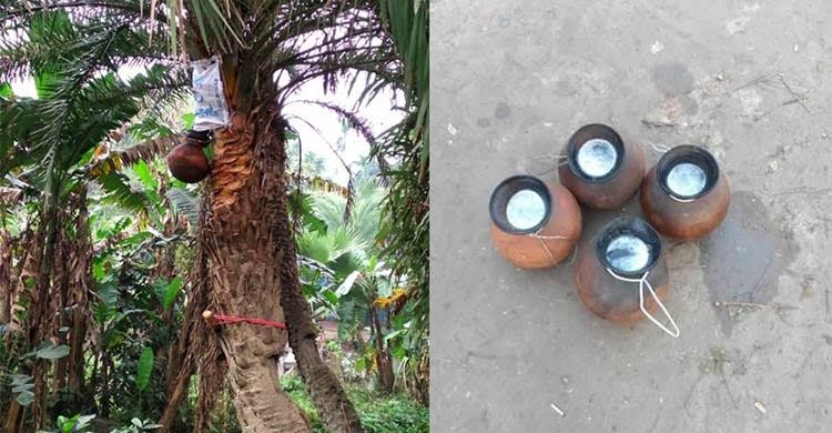 খেজুরের রস খেতে গিয়ে তিন বন্ধুর মৃত্যু
