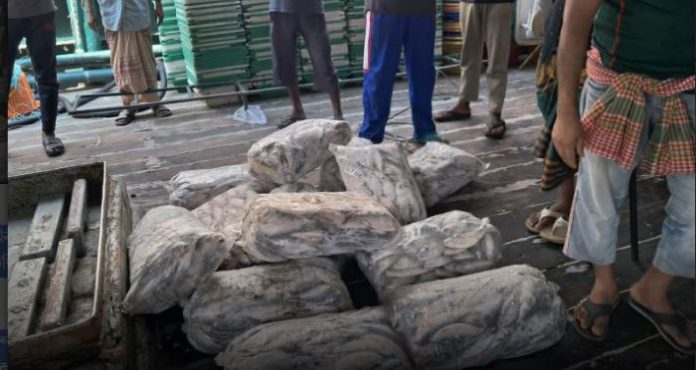 কর্ণফুলীতে বিশেষ অভিযানে ৩৭৮ কেজি জাটকা ইলিশ জব্দ