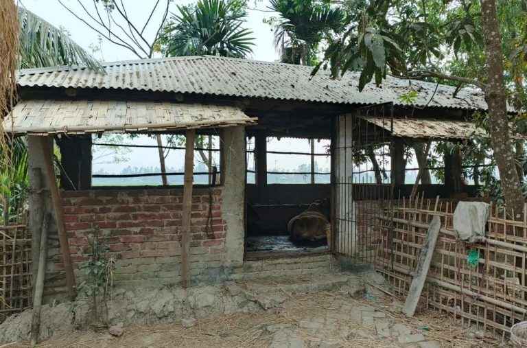 চকবাজার থানার ওসির বাড়িতে গুলি বর্ষণ, খামারের গরু লুট