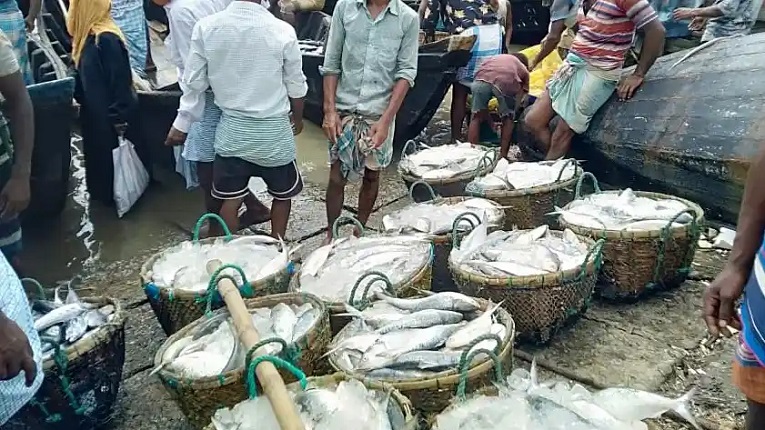 পুনর্বাসন ছাড়া উচ্ছেদ করা যাবে না চট্টগ্রামের ফিসারীঘাটের মাছ বাজার