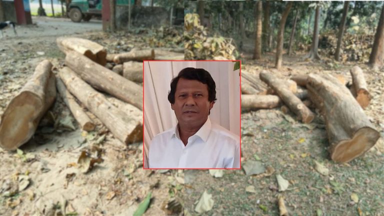 চট্টগ্রামে ইউনিয়নের সরকারি গাছ আত্মসাৎ, চেয়ারম্যান বরখাস্ত