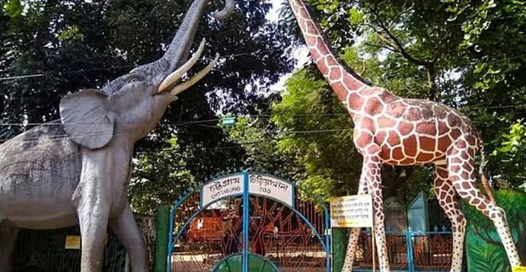 চট্টগ্রামে চিড়িয়াখানার ফটকের দেয়ালধসে ৫ নির্মাণশ্রমিক আহত