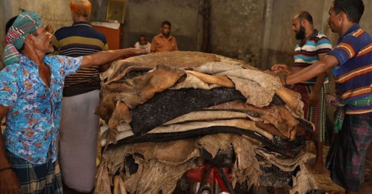 ঢাকা নির্ভরতায় ধুঁকছে চট্টগ্রামের চামড়াশিল্প