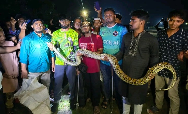 চবিতে ১২ ফুট দৈর্ঘ্যের বিশাল অজগর উদ্ধার