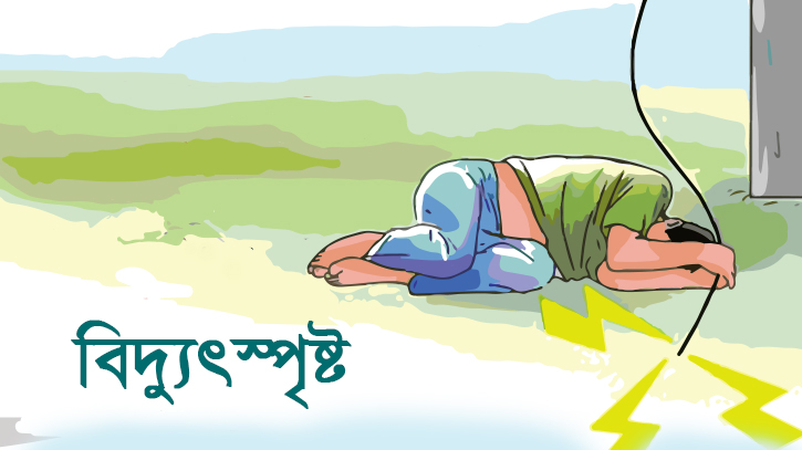 চন্দনাইশে রথযাত্রায় বিদ্যুৎস্পৃষ্টে ৫ জন আহত