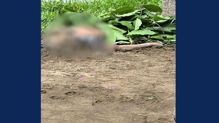 রাউজানে বালু দিয়ে মস্তক, পাতা দিয়ে শরীর ঢাকা যুবকের রহস্যজনক মরদেহ উদ্ধার