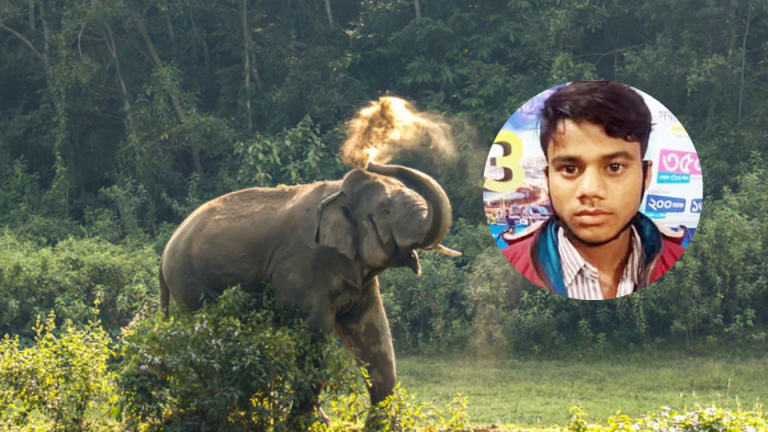 সাতকানিয়ায় হাতির আক্রমণে যুবক নিহত