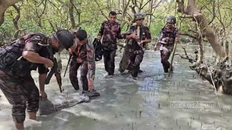 টেকনাফে বিজিবিকে লক্ষ্য করে গুলি, আগ্নেয়াস্ত্র উদ্ধার