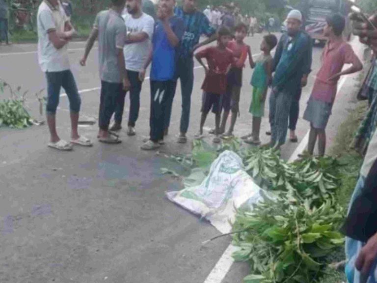 সীতাকুণ্ডে গাড়ির ধাক্কায় প্রাণ গেল নারীর, স্বামী-কন্যা আহত