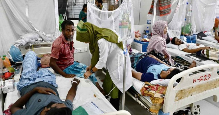 ডেঙ্গুতে ৩ জনের মৃত্যু, হাসপাতালে ভর্তি ৯১২