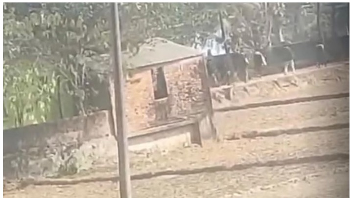 রাউজানে বিএনপি কর্মীর বাড়িতে সন্ত্রাসীদের গুলিবর্ষণ