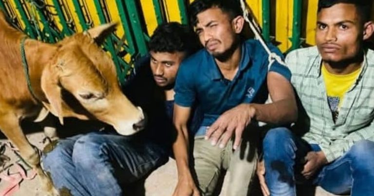 গরু চুরির চেষ্টা, উখিয়ায় গ্রামবাসীর ধাওয়ায় আটক ৩ যুবক