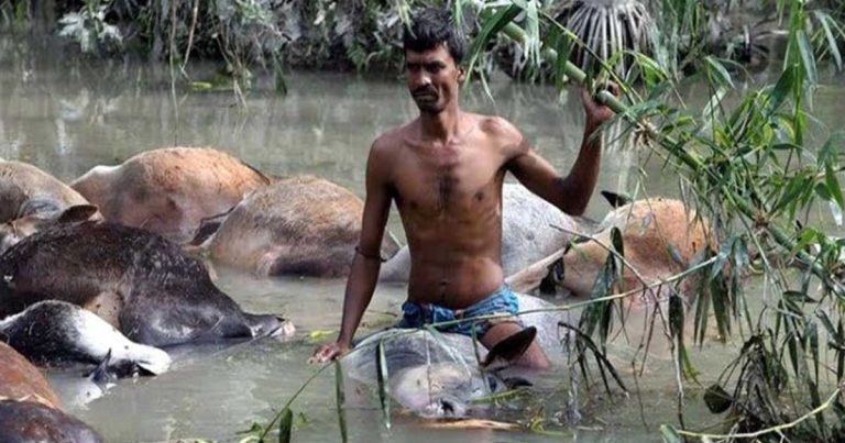 সেই ভয়াবহ ২৯ এপ্রিল, ৯১ সালের ক্ষত এখনো বয়ে বেড়াচ্ছে উপকূলবাসী