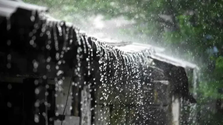 ট্টগ্রামসহ তিন বিভাগে টানা পাঁচদিন ভারী বৃষ্টির পূর্বাভাস